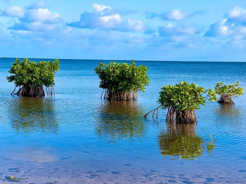 Day, Natural landscape, Beach, Sea view