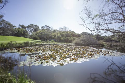 Apollo Bay Cottages- Sabine House in Apollo Bay