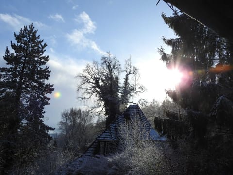 Wohnen im Wald Vacation rental in Kassel