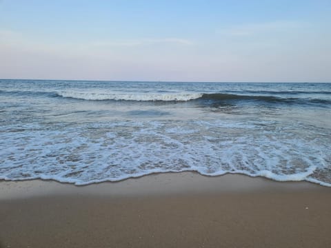 Property building, Natural landscape, Beach, Sea view