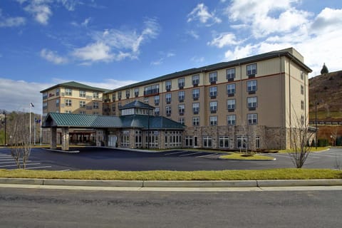 Hilton Garden Inn Roanoke Hotel in Roanoke