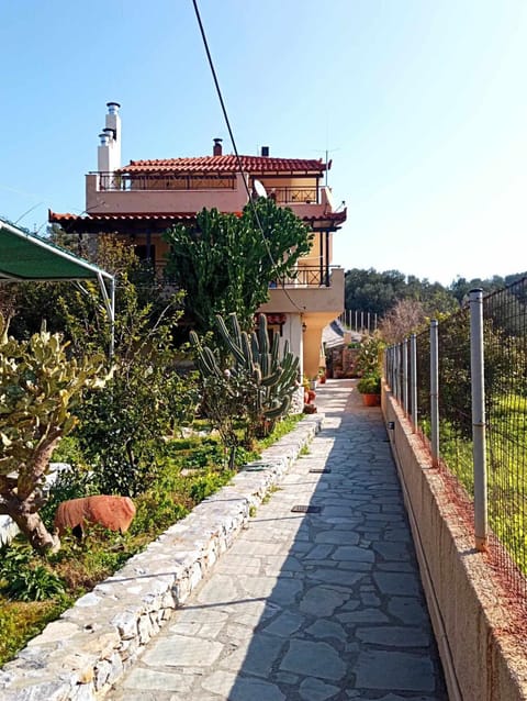 Property building, Garden, Garden view