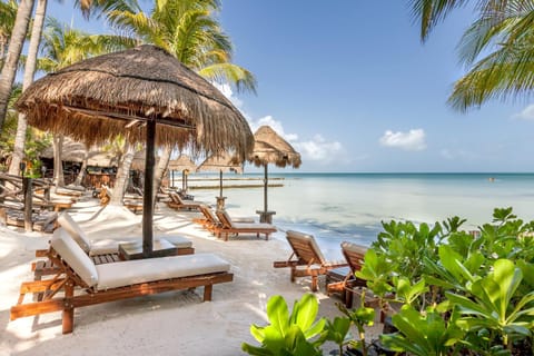 Beachfront Hotel La Palapa - Adults Only Hotel in Holbox