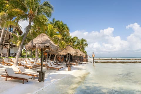 Beachfront Hotel La Palapa - Adults Only Hotel in Holbox