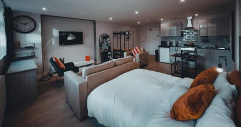 Bed, TV and multimedia, Kitchen or kitchenette, Living room, Photo of the whole room, Seating area, Dining area, Bedroom, minibar, pet friendly, stove