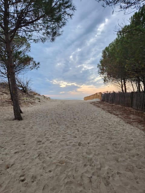 Natural landscape, Beach, Sunrise, Sunset