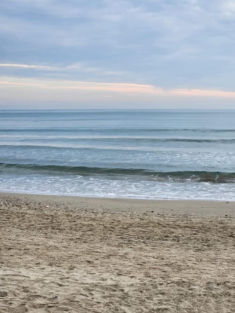 Nearby landmark, Natural landscape, Beach, Sea view