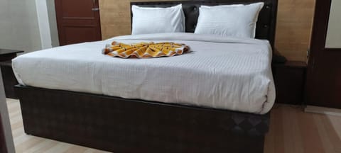 Hotel Ravi BR Group Bed and Breakfast in Jaipur