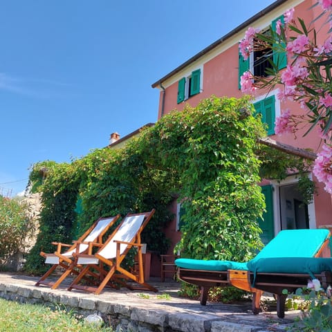 Property building, Spring, Day, Garden, Garden, Garden view, sunbed