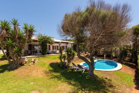 Patio, Garden, Garden view