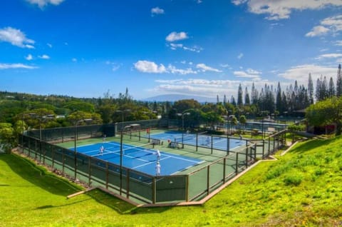 2914 Ridge Apartment in Kapalua