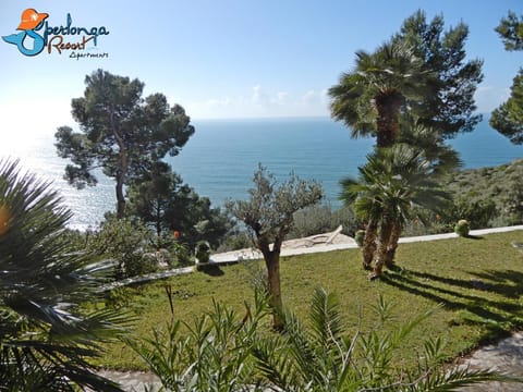 Patio, Day, Garden, Garden view, Sea view