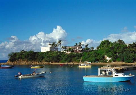 Oceanview Apartment with Garden Access Appartamento in Vieques, Puerto Rico