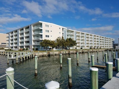 Thunder Island 15A condo Apartment in Isle of Wight Bay