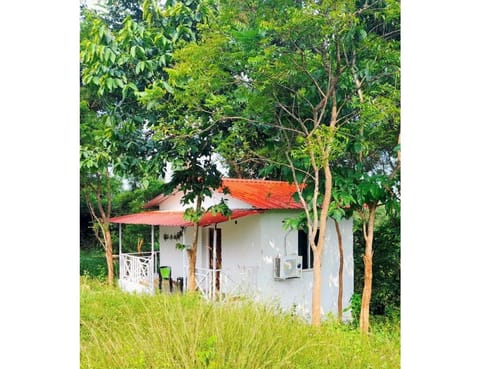 Property building, Spring, Day, Natural landscape, Garden, Garden view