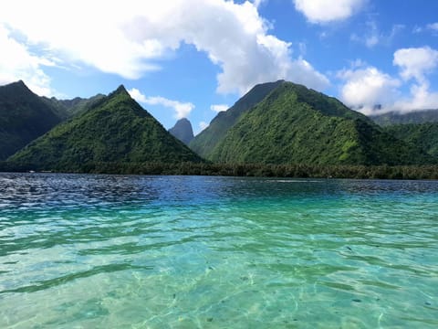 tahiti-bungalow at Teahupoo: beachfront with pountoon and mini pool House in Tahiti