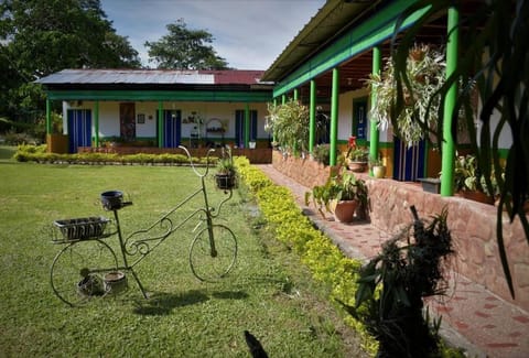 Patio, Day, Garden, Garden view