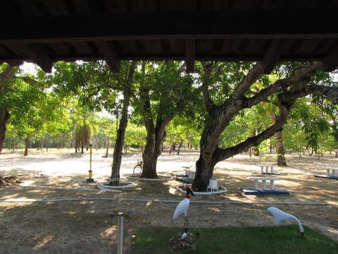 Hotel Fazenda Arara Azul Farm Stay in State of Tocantins
