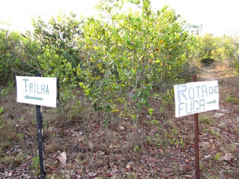 Hotel Fazenda Arara Azul Farm Stay in State of Tocantins