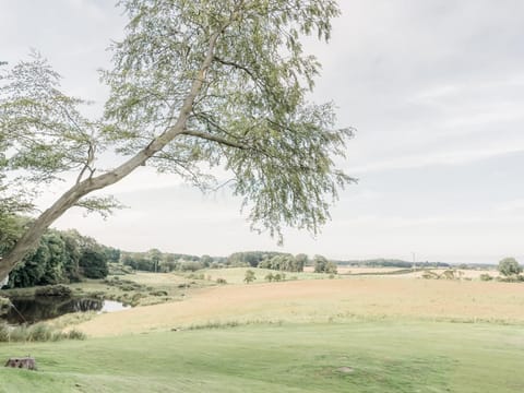 Property building, Natural landscape