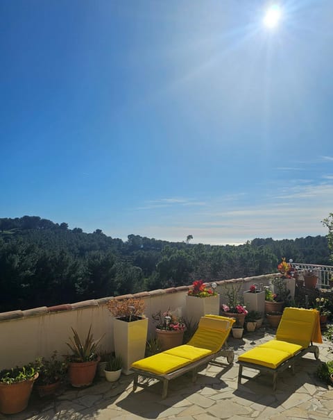 Patio, Natural landscape, View (from property/room), Balcony/Terrace, sunbed