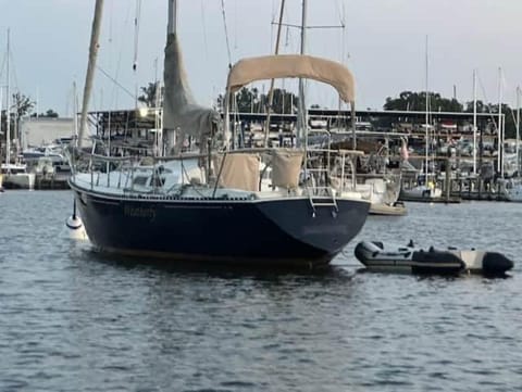 Sailboat Experience in Annapolis Barco atracado in Annapolis