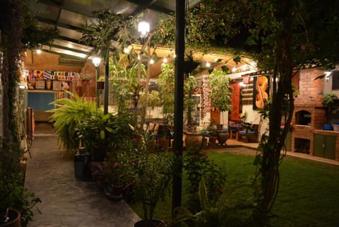 Night, Garden, Garden view