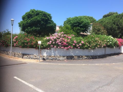 Spring, Day, Garden, Garden view