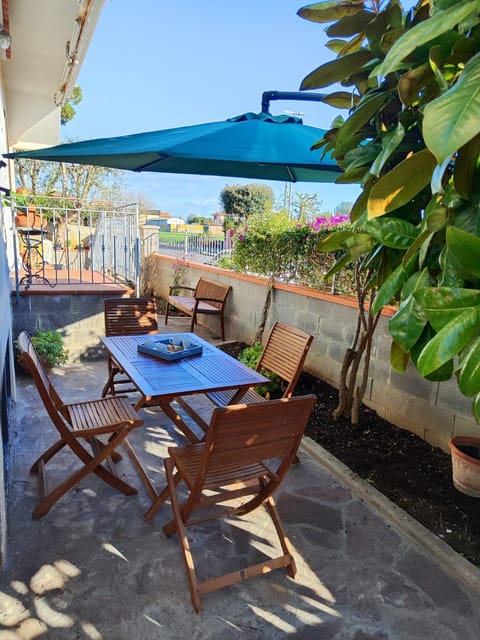 Patio, Garden, Garden view