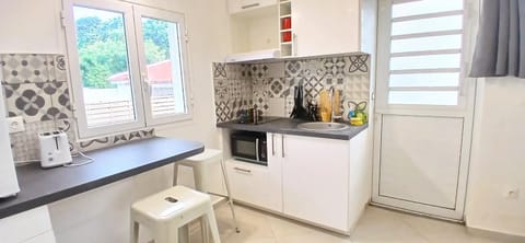 Kitchen or kitchenette, minibar, pet friendly, stove, toaster