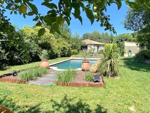 Garden, Swimming pool