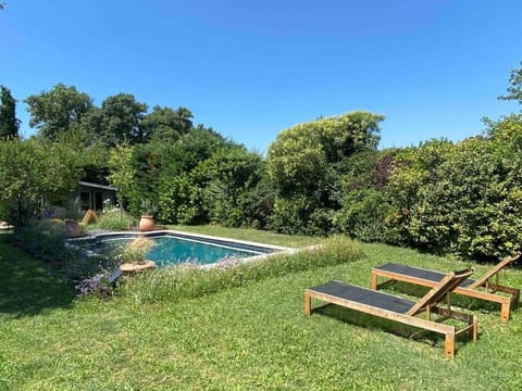 Garden, Pool view, Swimming pool, sunbed