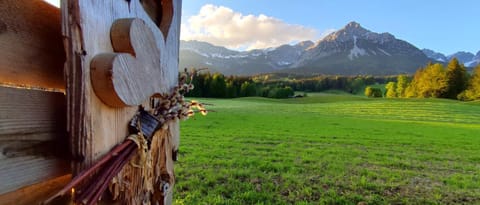 Natural landscape, View (from property/room), Mountain view