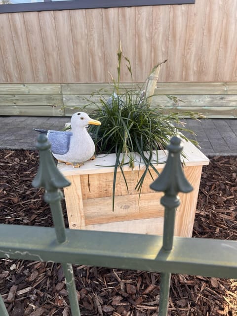 Patio, Garden, Garden view