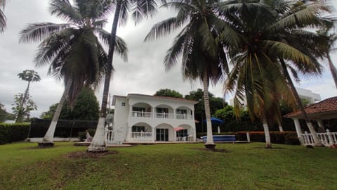 Property building, Garden view