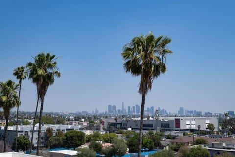 Hollywood 1Bed Apt w Rooftop pool & Panoramic View Apartment in Hollywood