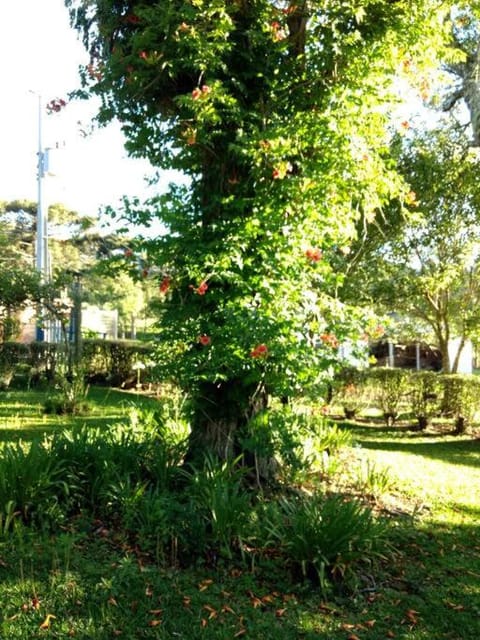 CASA DE CAMPO NA SERRA CATARINENSE House in State of Santa Catarina