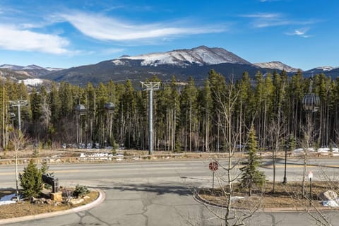 Crystal Peak Expedition Condo: Ski-In, Ski-Out Luxury House in Breckenridge