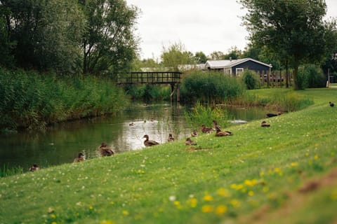 Property building, View (from property/room), Garden view, Lake view, River view, Inner courtyard view