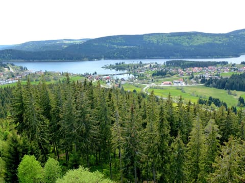 Ferienwohnung Schluchsee Condo in Schluchsee