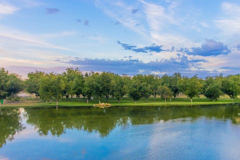 Natural landscape, Lake view