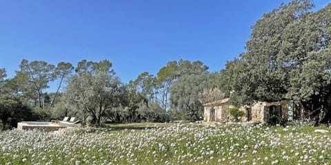 Natural landscape, Garden, Garden view