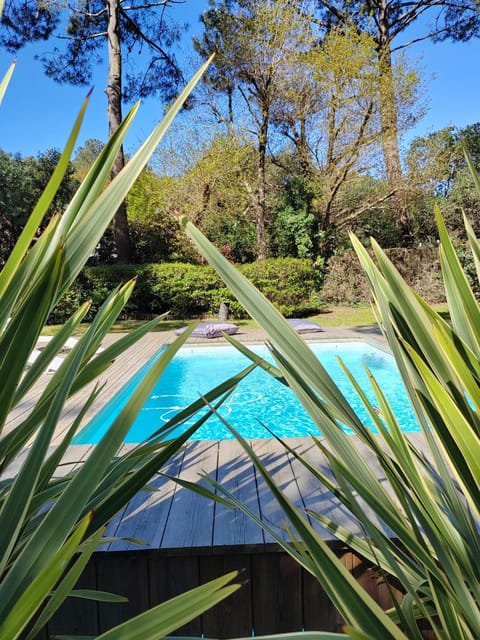 Spring, Day, Garden, Garden view, Pool view, sunbed