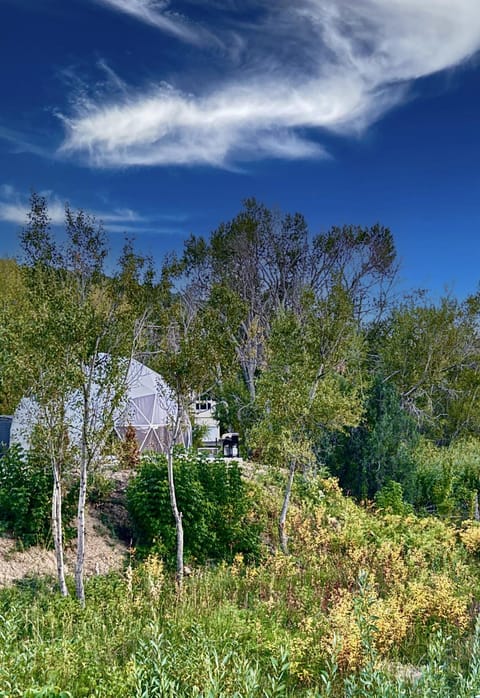 Zen Zion River Dome Casa in Glendale