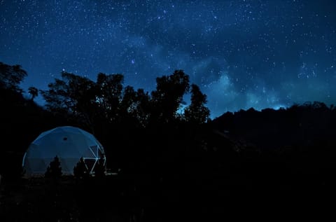 Zen Zion Evergreen Dome Maison in Glendale