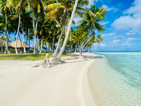 Day, Natural landscape, Beach, Sea view