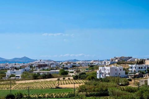 Mythodea Luxury Villa Apartment in Naxos, Naxos and Lesser Cyclades, Greece