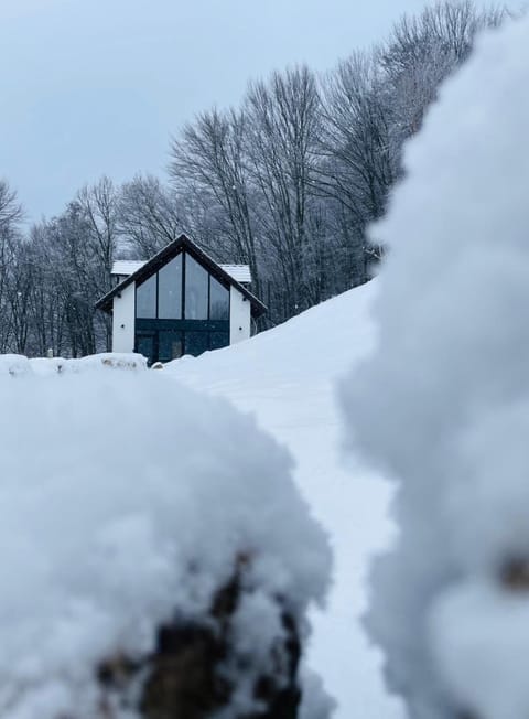 Property building, Natural landscape, Winter