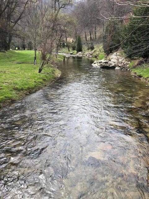 LUXURY!! Hot Tub, Pool Table, River & Petting zoo? House in Watauga