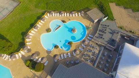 Day, Bird's eye view, Pool view, Swimming pool, sunbed